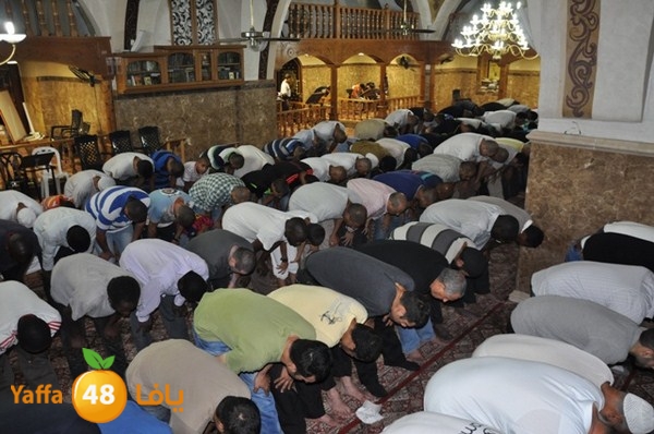 trawe7 mahmodiya 713 (28).JPG